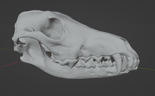 Product from First Density Material - high-quality default
