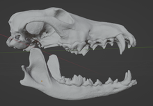 Load image into Gallery viewer, Coyote Skull (STL) Commercial License