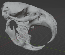 Load image into Gallery viewer, Product from First Density Material - high-quality default