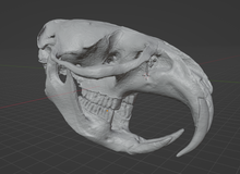 Load image into Gallery viewer, Product from First Density Material - high-quality default