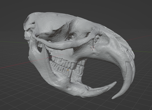 Product from First Density Material - high-quality default