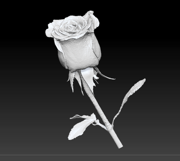 Product from First Density Material - high-quality default