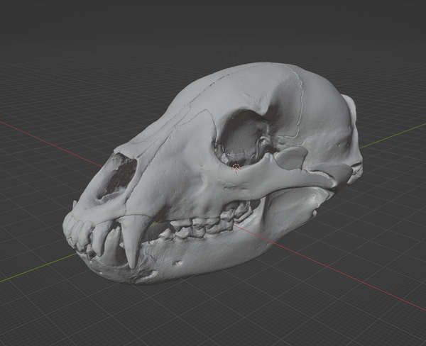 Product from First Density Material - high-quality default