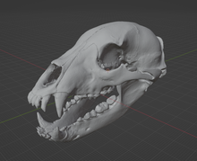 Load image into Gallery viewer, Black Bear Skull (STL) Commercial License