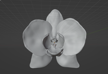 Load image into Gallery viewer, Product from First Density Material - high-quality default