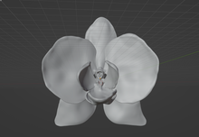 Load image into Gallery viewer, Orchid Flower (STL) Commercial License