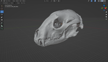 Load image into Gallery viewer, Dog Skull (STL) Commercial License