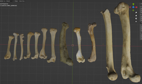 Small Bone Pack 3D printable STL file for jewelry making and electroforming projects