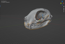 Load image into Gallery viewer, Cat Skull (STL) Commercial License