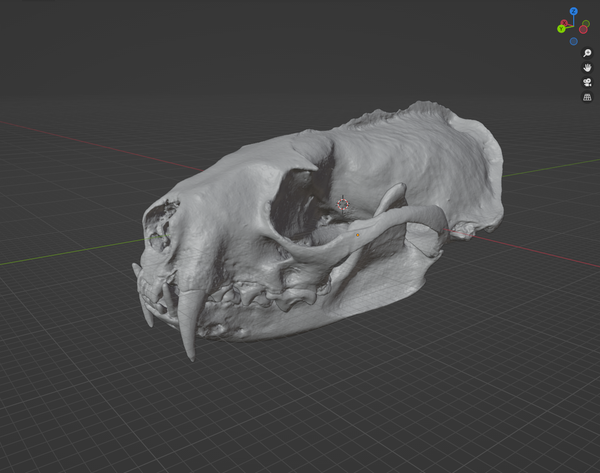 Product from First Density Material - high-quality default