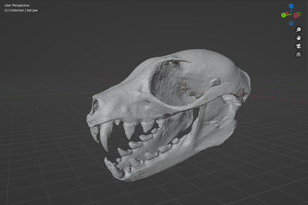 Product from First Density Material - high-quality default