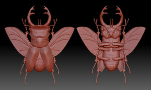 Product from First Density Material - high-quality default