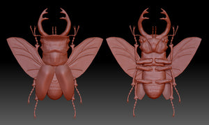 Stag Beetle (Odontolabis lacordairei) (STL)