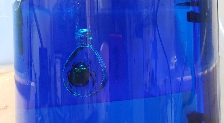 Beginner Electroforming Setup And Workflows online learning course with comprehensive tutorials and resources