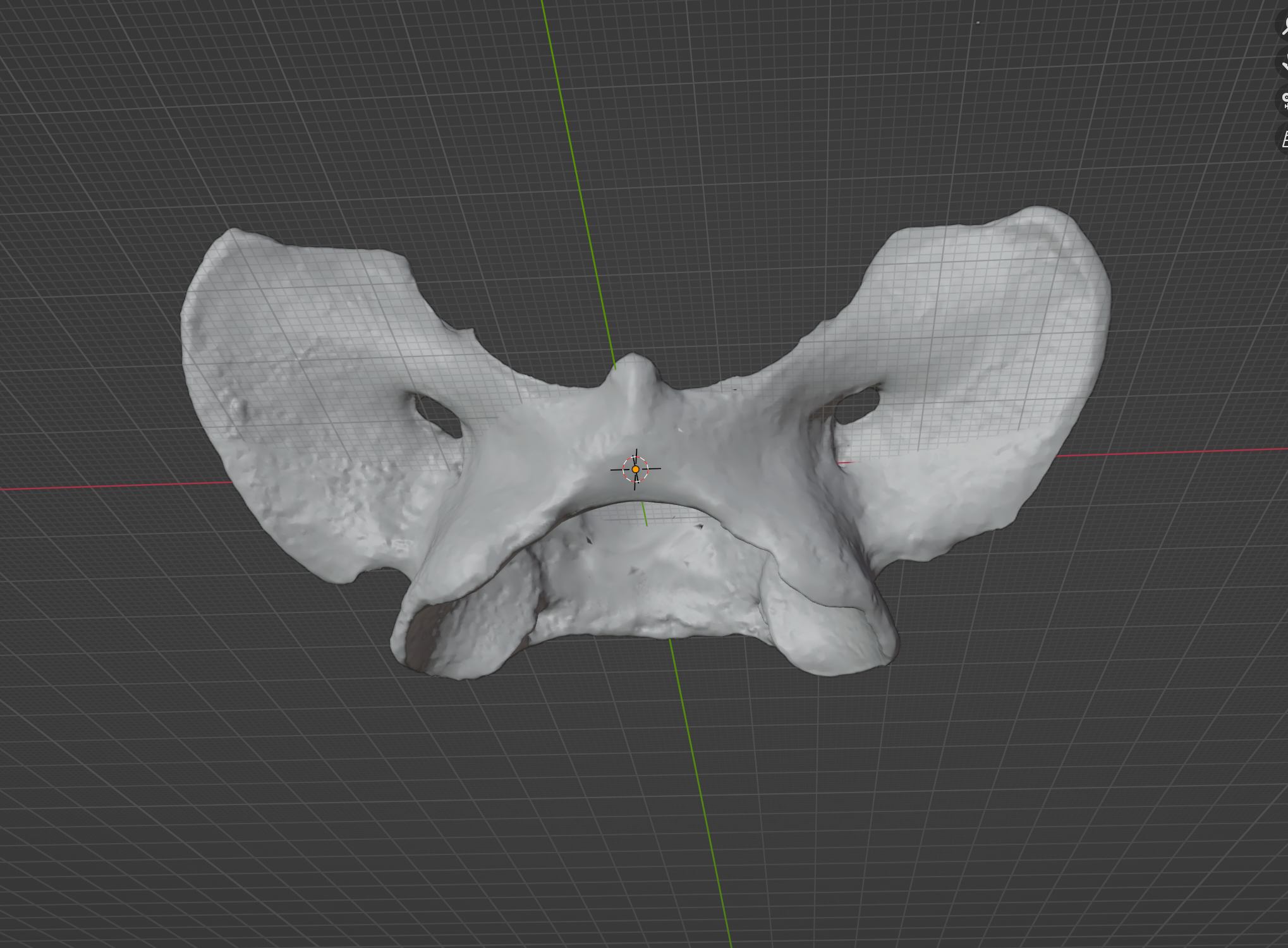 Coyote Atlas Bone (STL) Commercial License