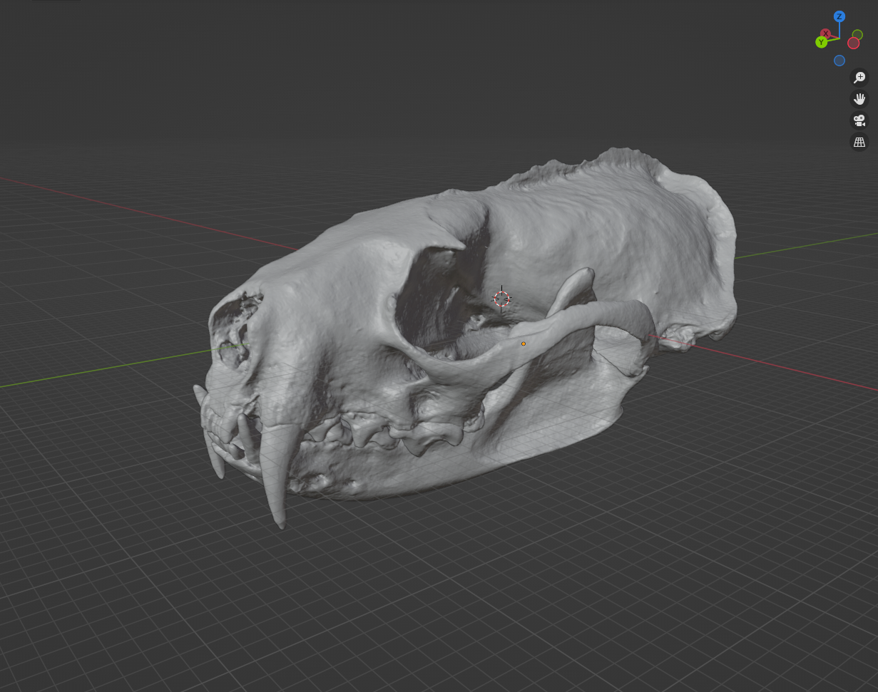 Ferret Skull (STL) Commercial License