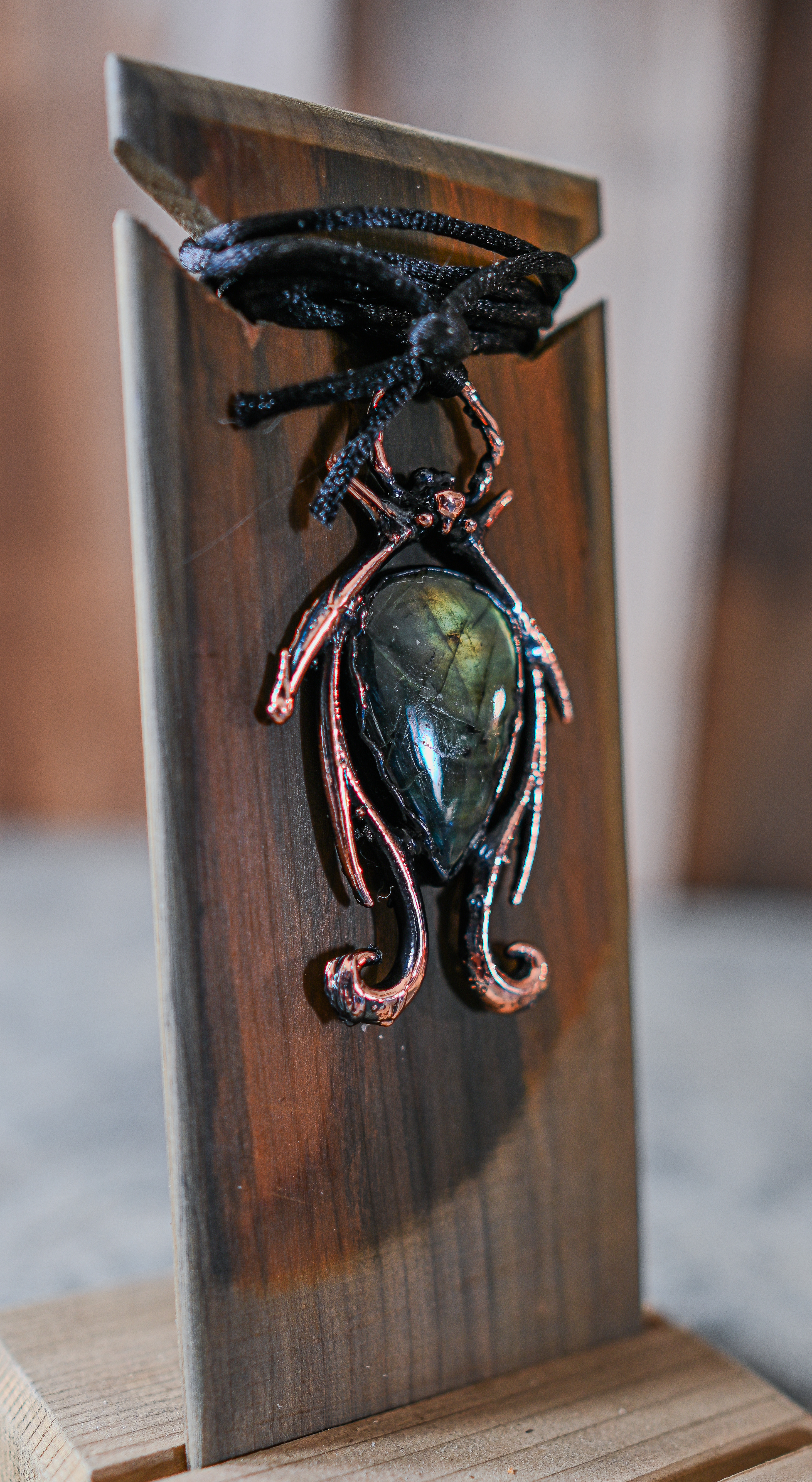 The Aurora Beetle