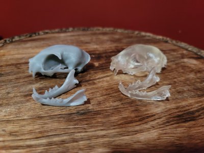 Cat Skull (STL) Commercial License