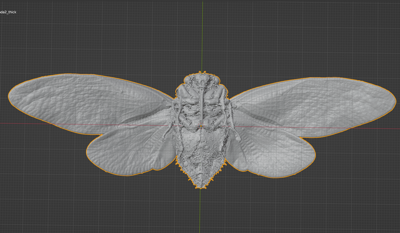 Cicada Commercial License STL