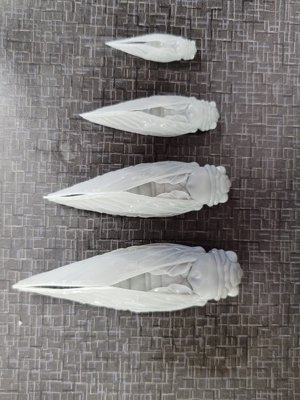 Empress Cicada Folded Wings (STL) Commercial License