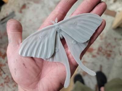 Lunar Moth (STL) Commercial Licence