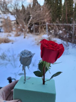 Rose (STL) Commercial License