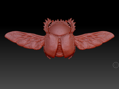 Scarabaeus sacer Beetle Commercial License STL