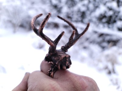 Upper Deer Skull Sculpt (STL file) Commercial License