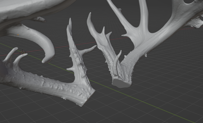 Non Typical Antler Pack Commercial License