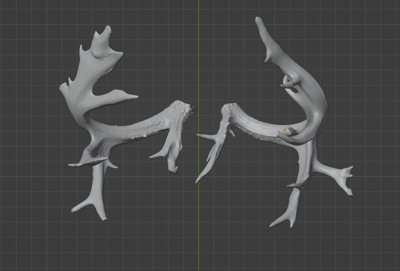 Non Typical Antler Pack Commercial License