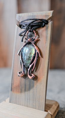 The Aurora Beetle